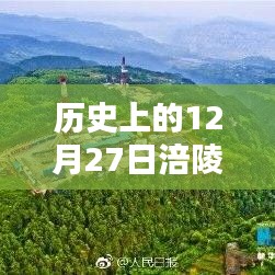 沉厚寡言 第2页