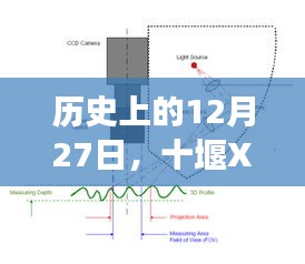 腾龙换鸟 第2页