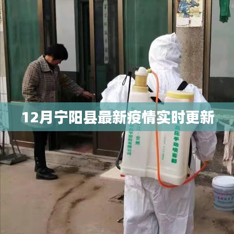 有张没智 第3页