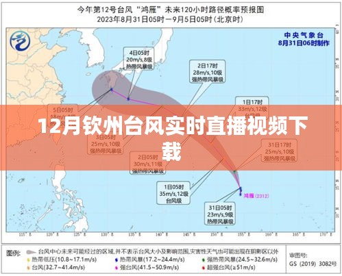 台风来袭！钦州实时直播视频下载见证风雨瞬间