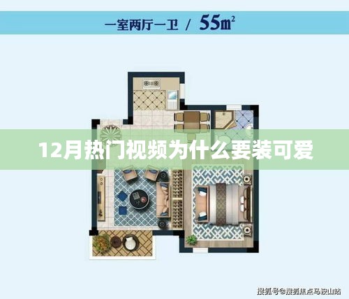 揭秘十二月流行视频背后的可爱元素
