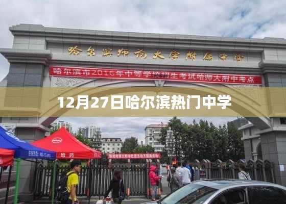 鸟惊鼠窜 第2页