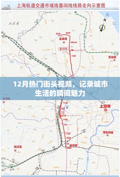 街头魅力瞬间，十二月城市生活热门视频