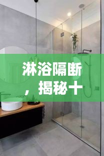 淋浴隔断选购指南，十二月热门产品推荐揭秘