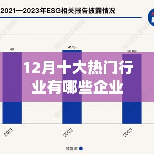 揭秘十二月热门行业领军企业