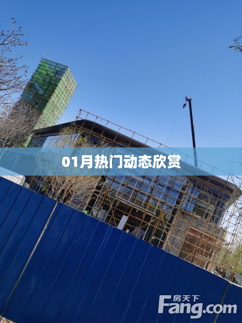 精选，一月热门动态大盘点