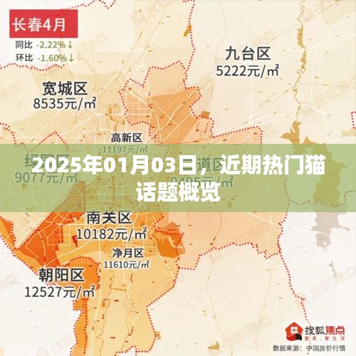 热门猫话题概览，2025年1月3日动态