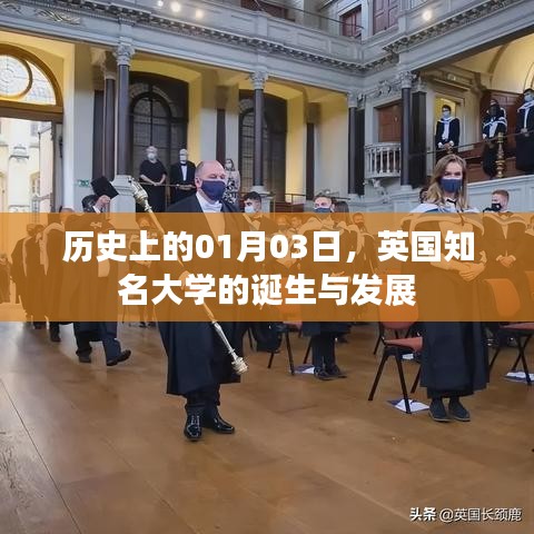 企业优势 第166页