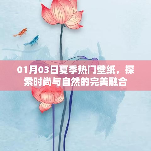 夏季时尚与自然壁纸探索，热门壁纸大放送