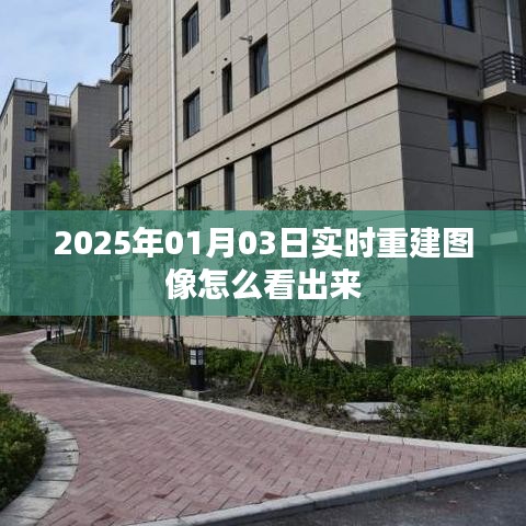 物以希为贵 第2页