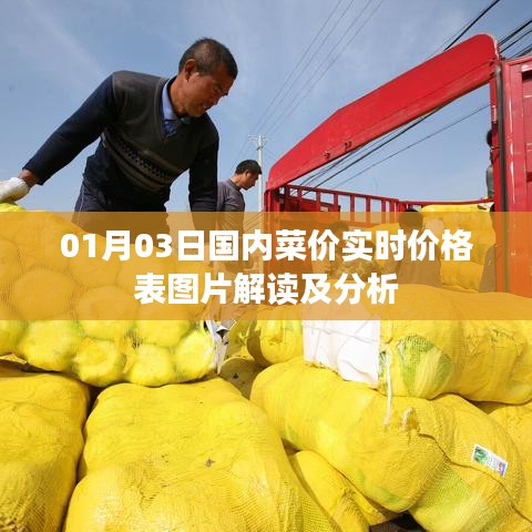 最新国内菜价实时价格表图片解读与分析