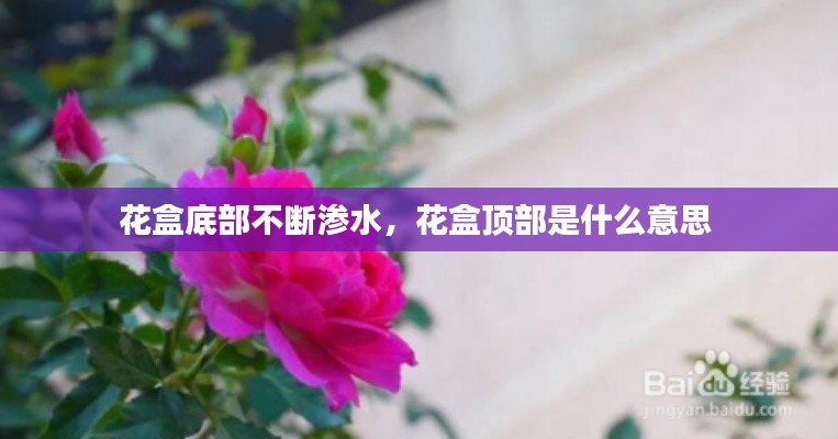 花盒底部不断渗水，花盒顶部是什么意思 