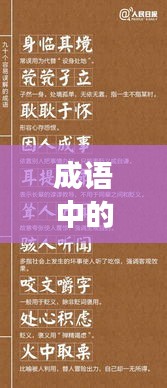 成语中的学习与成长智慧，不断进步，塑造卓越人生
