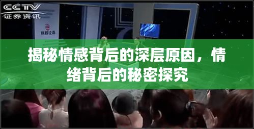 揭秘情感背后的深层原因，情绪背后的秘密探究