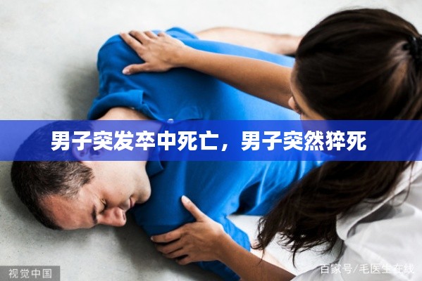 鸟集鳞萃 第2页
