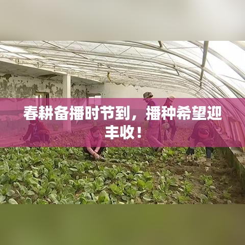 春耕备播时节到，播种希望迎丰收！