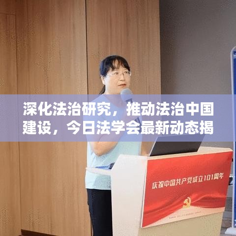 深化法治研究，推动法治中国建设，今日法学会最新动态揭秘