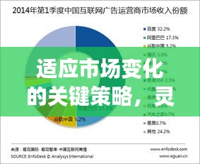 适应市场变化的关键策略，灵活调整营销方案，持续创新引领潮流