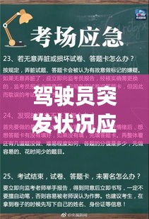 驾驶员突发状况应对与预防措施指南