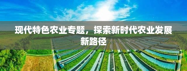 现代特色农业专题，探索新时代农业发展新路径