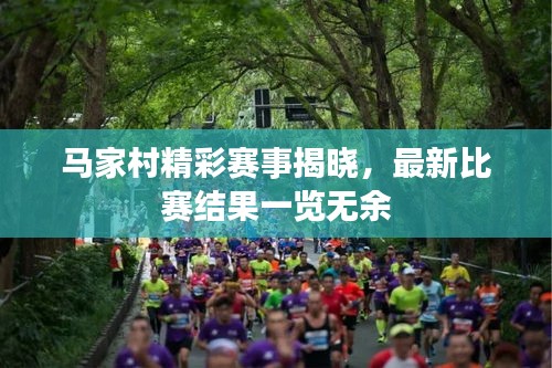 马家村精彩赛事揭晓，最新比赛结果一览无余
