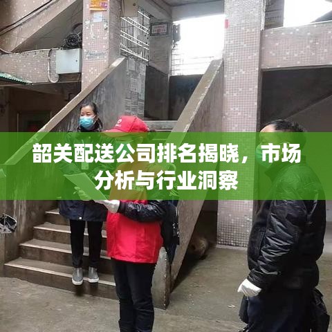 韶关配送公司排名揭晓，市场分析与行业洞察