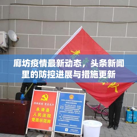 廊坊疫情最新动态，头条新闻里的防控进展与措施更新