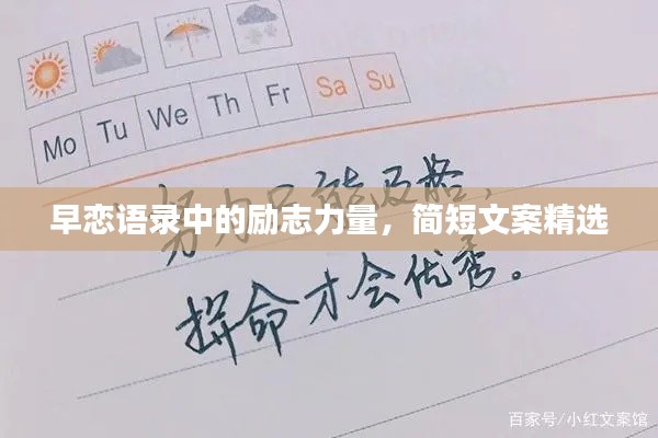 项目介绍 第133页
