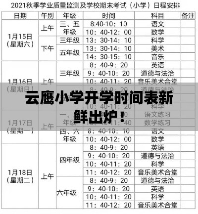 笨鸟先飞 第2页