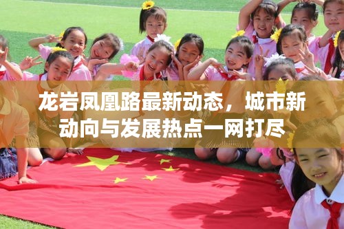 龙岩凤凰路最新动态，城市新动向与发展热点一网打尽