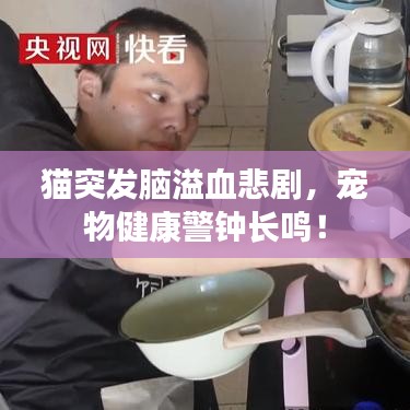 第560页