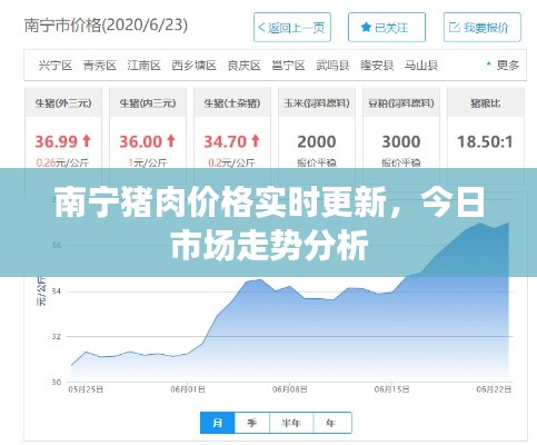 南宁猪肉价格实时更新，今日市场走势分析