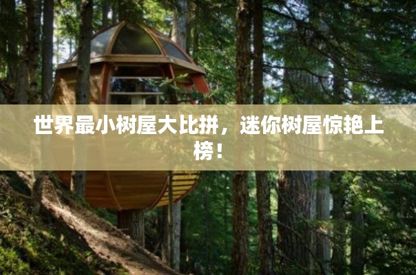 企业优势 第125页