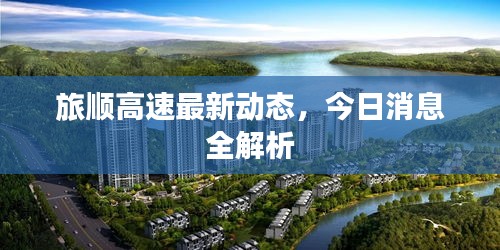 旅顺高速最新动态，今日消息全解析