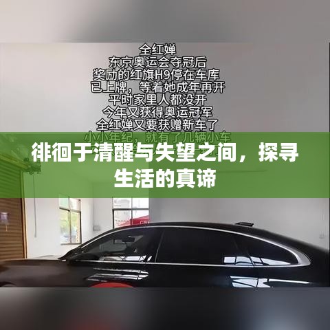徘徊于清醒与失望之间，探寻生活的真谛