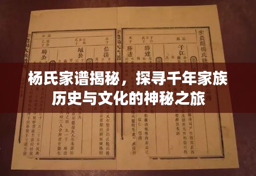 杨氏家谱揭秘，探寻千年家族历史与文化的神秘之旅