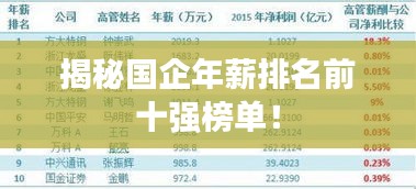 揭秘国企年薪排名前十强榜单！