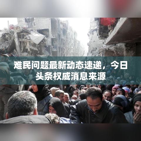 难民问题最新动态速递，今日头条权威消息来源