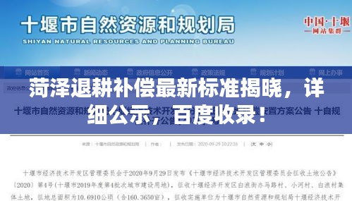 菏泽退耕补偿最新标准揭晓，详细公示，百度收录！