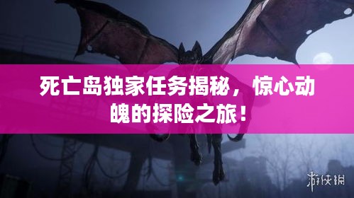 死亡岛独家任务揭秘，惊心动魄的探险之旅！