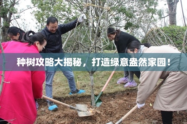 种树攻略大揭秘，打造绿意盎然家园！
