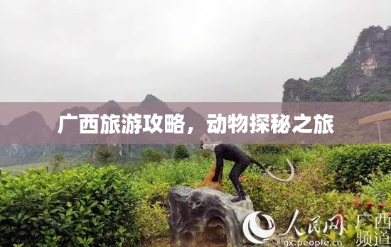 广西旅游攻略，动物探秘之旅