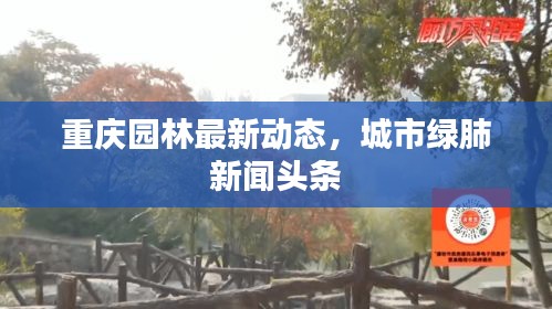 重庆园林最新动态，城市绿肺新闻头条