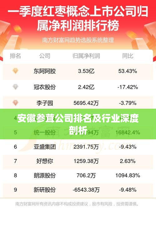 安徽参茸公司排名及行业深度剖析