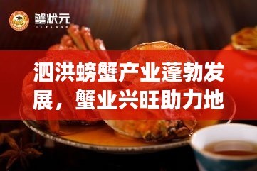 泗洪螃蟹产业蓬勃发展，蟹业兴旺助力地方经济飞跃发展