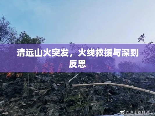 气焰嚣张 第2页
