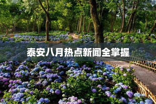神采飞扬 第2页