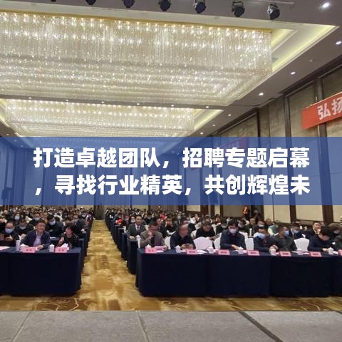 打造卓越团队，招聘专题启幕，寻找行业精英，共创辉煌未来