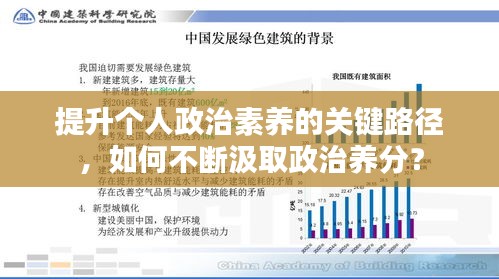 提升个人政治素养的关键路径，如何不断汲取政治养分？