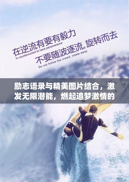 励志语录与精美图片结合，激发无限潜能，燃起追梦激情的力量